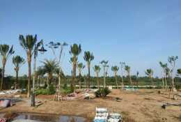 Bán đất hẻm Nguyễn Xiển, Trường Thạnh, quận 9 - 81m2