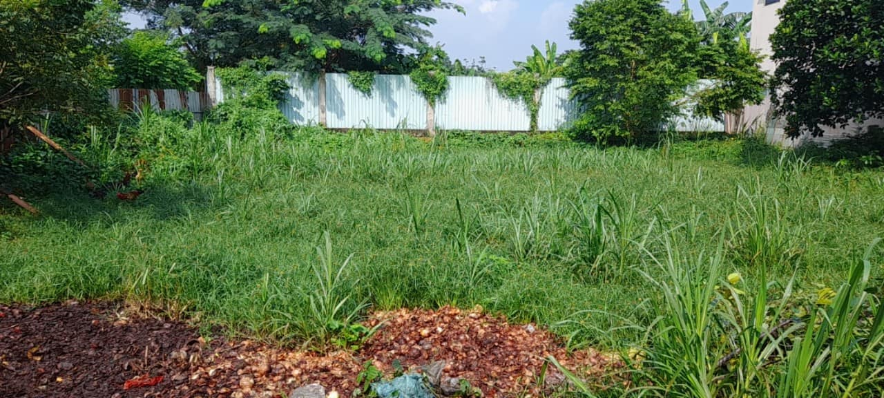 Bán đất Tân Thới Nhì Hóc Môn - 440m2 Bán đất Tân Thới Nhì Hóc Môn - 440m2