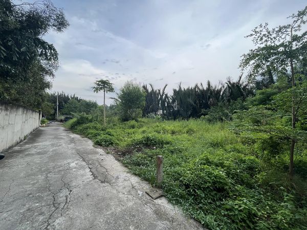 Bán đất hẻm Thị trấn Nhà Bè Huyện Nhà Bè - 78m2